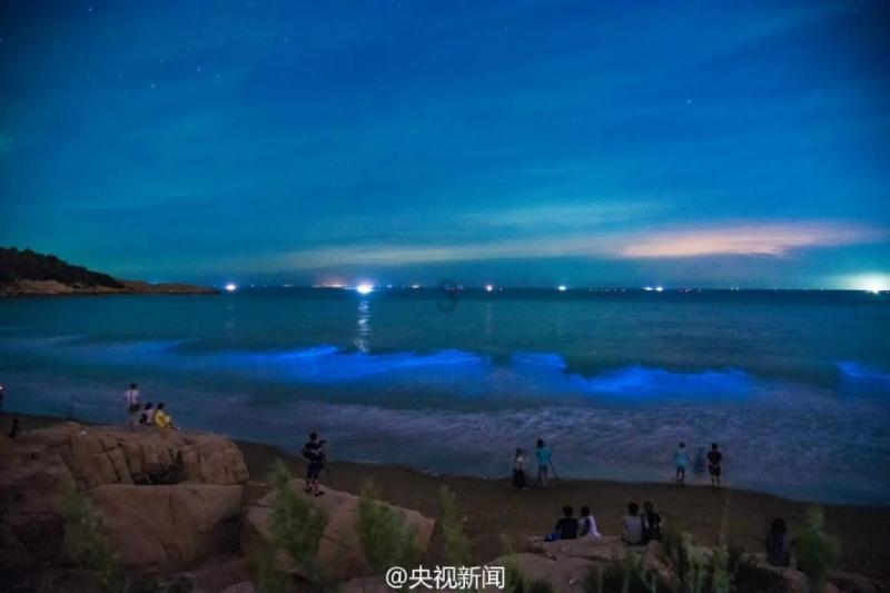 沪江开心词场