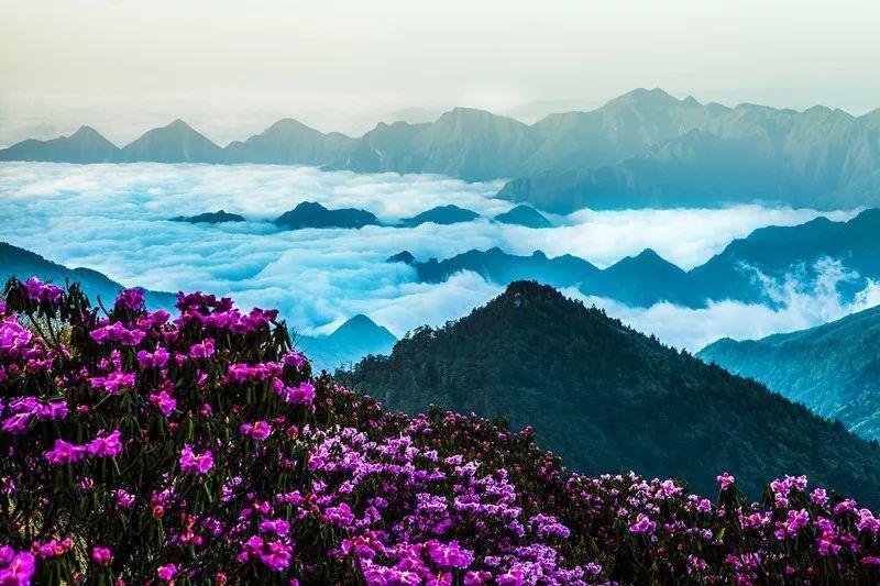 月光影视