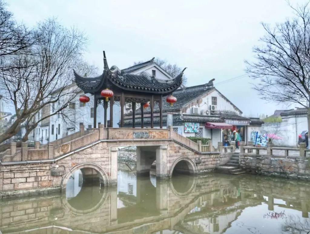 动物帮帮忙保卫家园